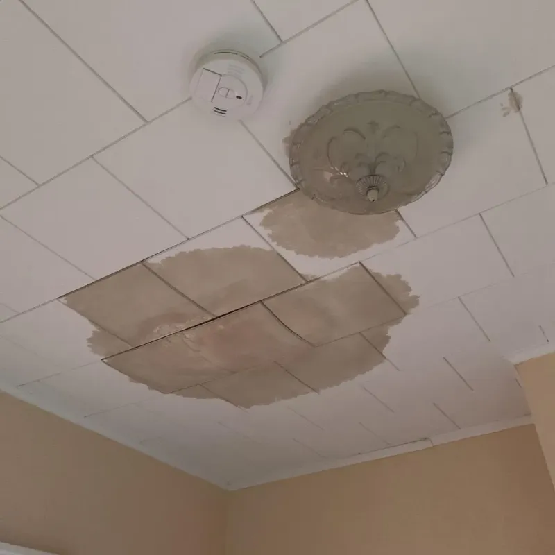 Ceiling Water Damage Repair in Waterford, WI