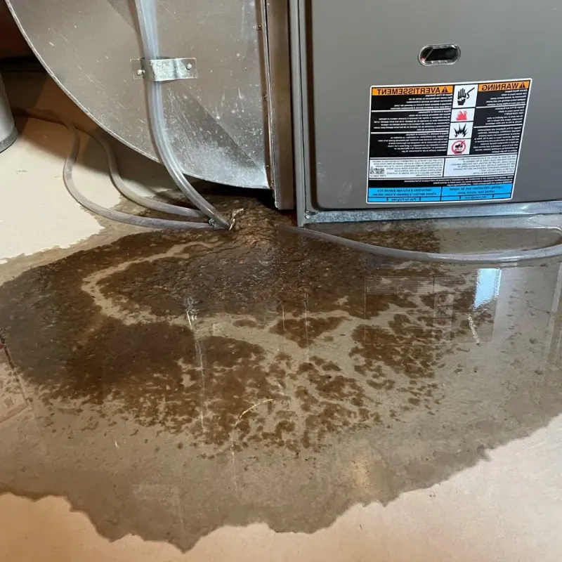 Pipe Burst and Leak Restoration in Waterford, WI