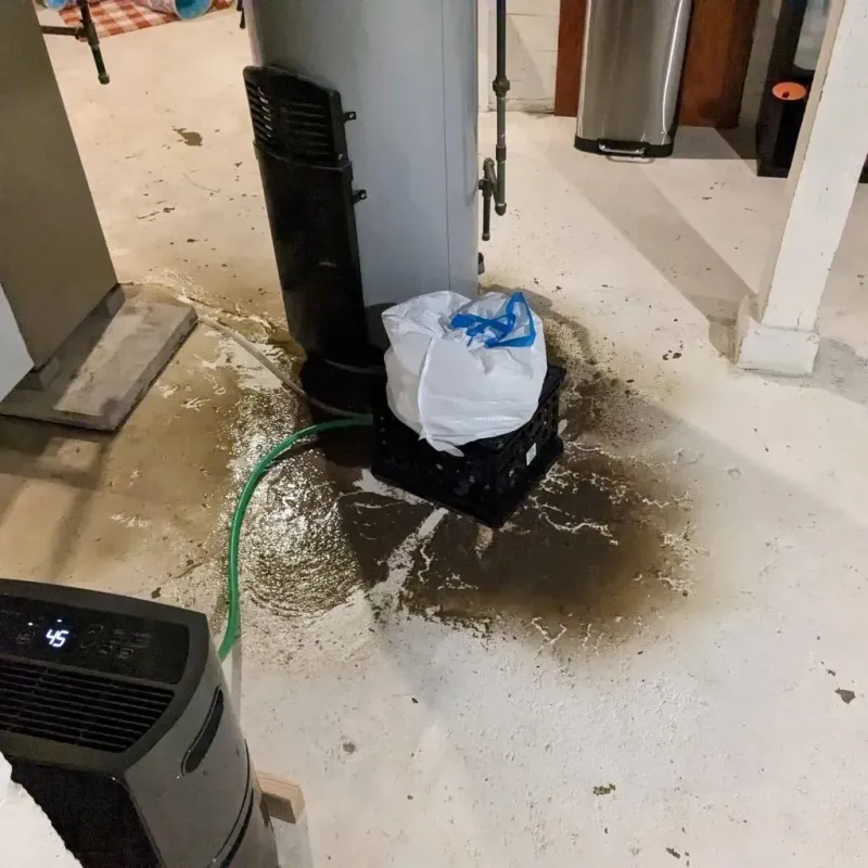 Sewage Backup Cleanup Service in Waterford, WI